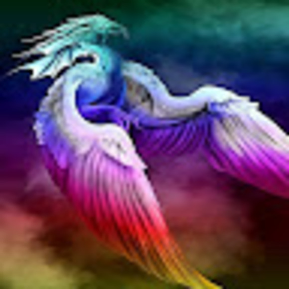 rain8wings